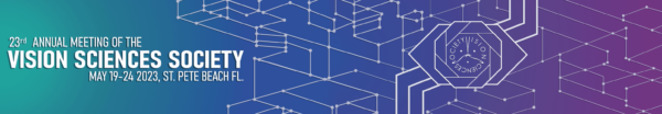 VSS_banner_full_brighter Vision Sciences Society