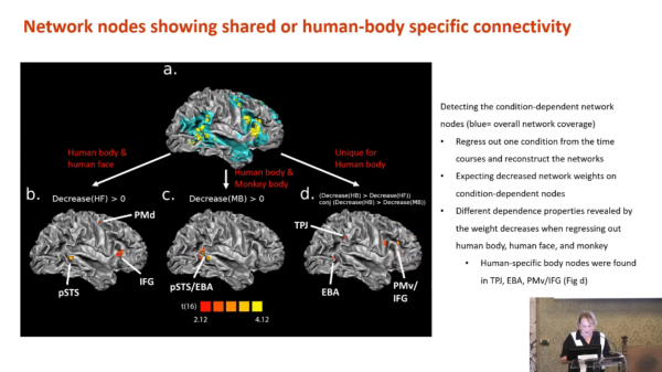 neuroscience conference