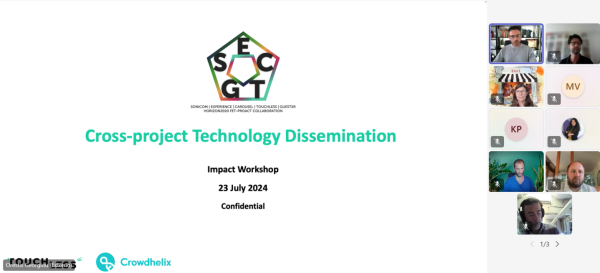 SECTG cluster impact workshop on project solutions